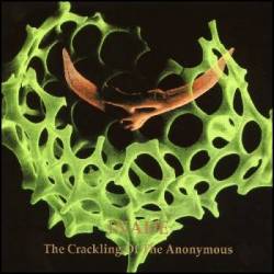 The Crackling of the Anonymous